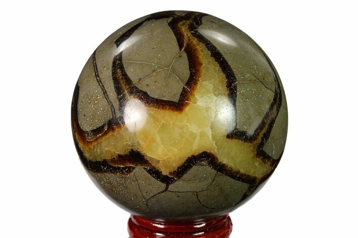 Polished Septarian Sphere - Madagascar #154124